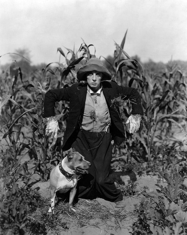 The Scarecrow (1920)